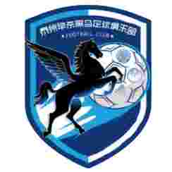 主队